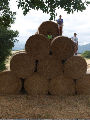 lughnasadh bales